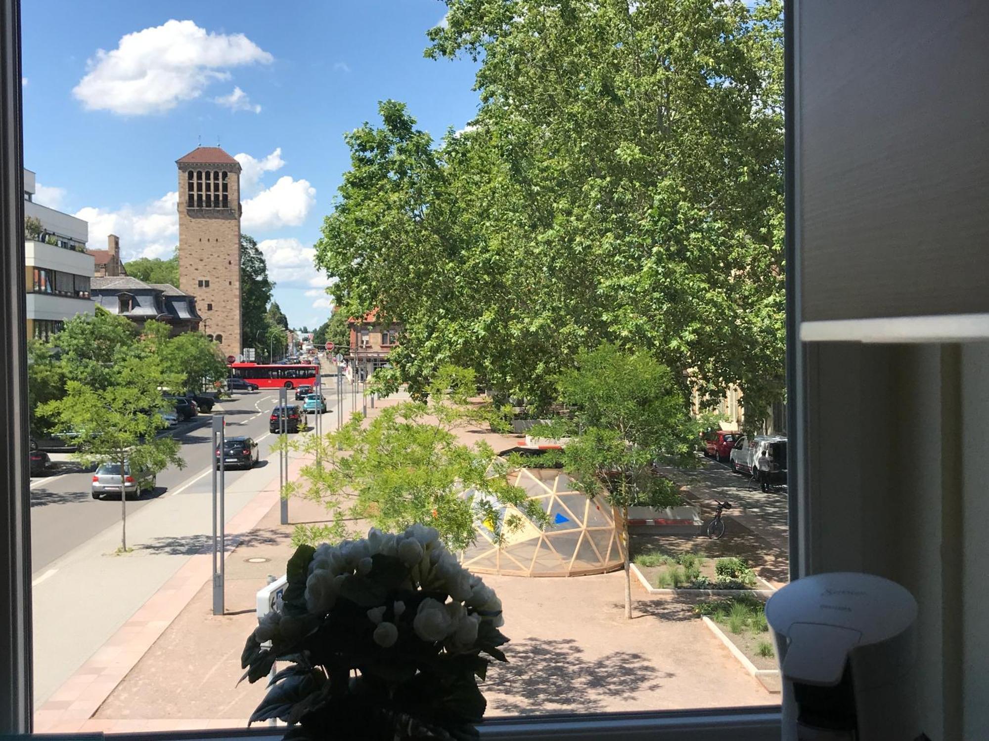Dompanorama Der Kleine Dschungel Apartment Fuer 2-4 Pers Speyer Buitenkant foto